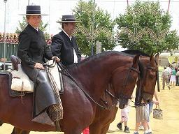 Horse riders came from Ronda to take a stroll.