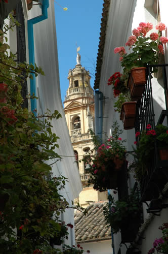 Callejita de las Flores - Cordoba Spain