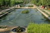 Jets of water in the Alcazar de los Reyes Catlicos - Cordoba Spain