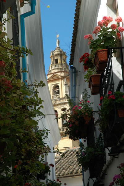 Callejita de las flores and Mezquita belfry (campanario)