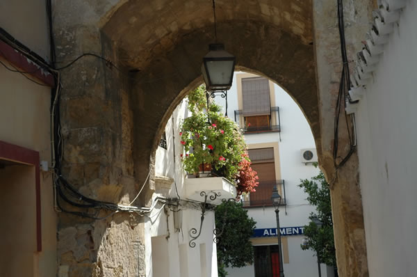 View of geraniums through Cordoba's Puerta del Portillo Gate