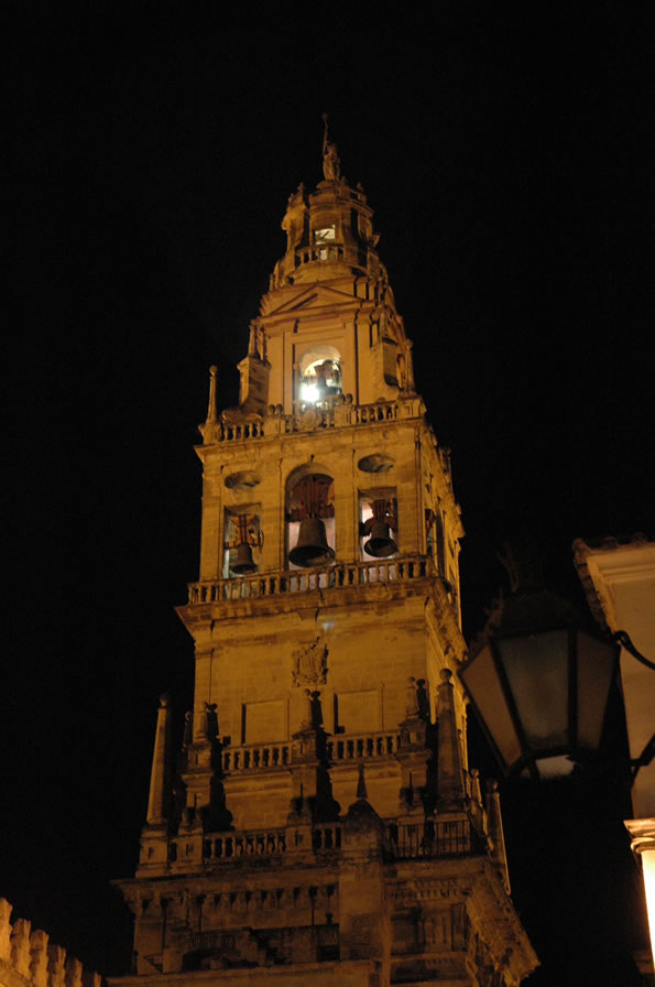 Belfry of Mosque - Cathedral by night