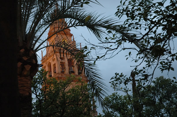 View of Mosque's belfry through palms and orange trees in the Patio de los Naranjos - Cordoba Spain
