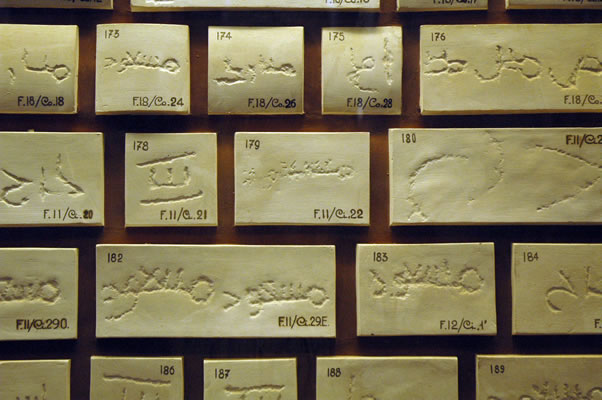 Quarrymen and stone mason marks from 9th- and 10th-century Great Mosque of Cordoba